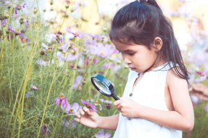 Featured Image for Asian girl magnifying glass field of flowers