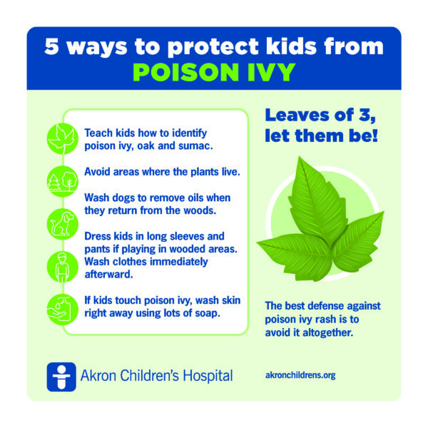 5 Ways To Treat And Prevent Poison Ivy Rash   FINAL.ACH .poison.ivy .Infographic 600x600 