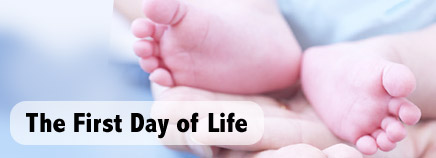 Kidshealth: The First Day of Life | Akron Children's Hospital