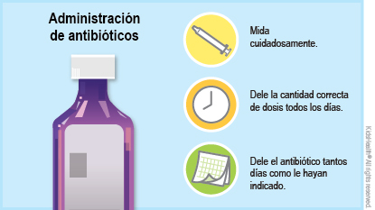 Mida cuidadosamente. Dele la cantidad correcta de dosis todos los días. Dele e antibiótico tantos días como le hayan indicado.