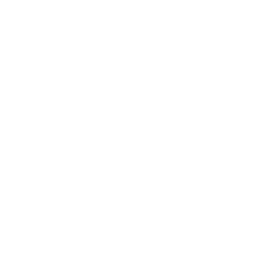 Ambulance Icon