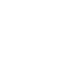 Stethoscope Icon